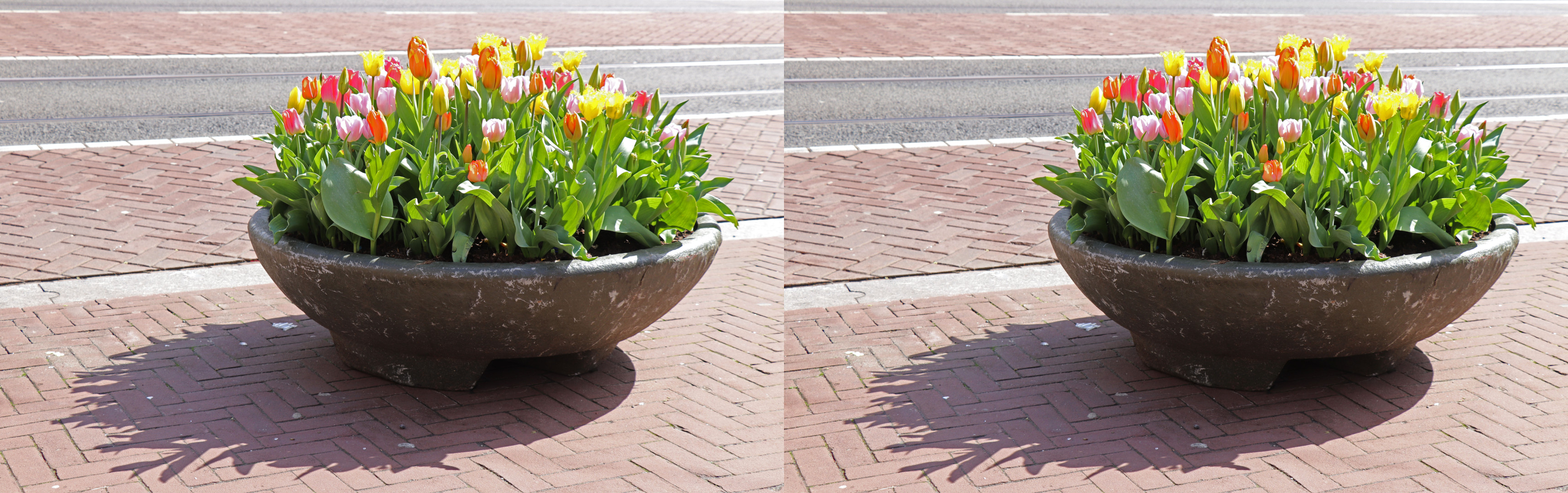 Ces vasques à tulipes sont fréquentes dans les rues