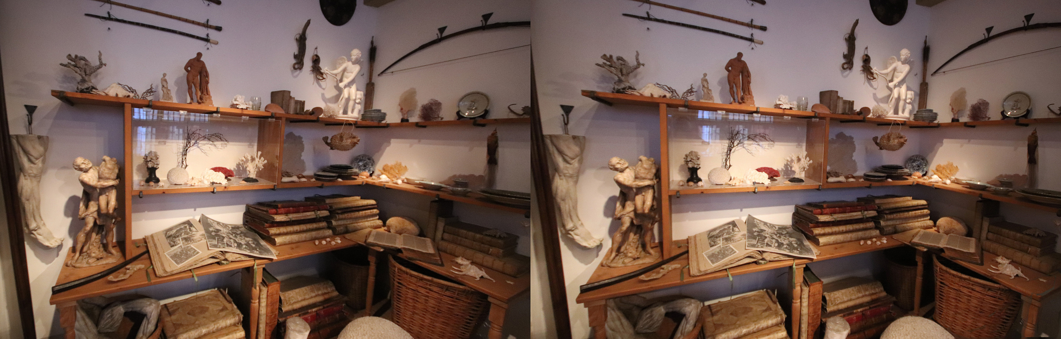 Cabinet de curiosités de Rembrandt (un collectionneur passionné)