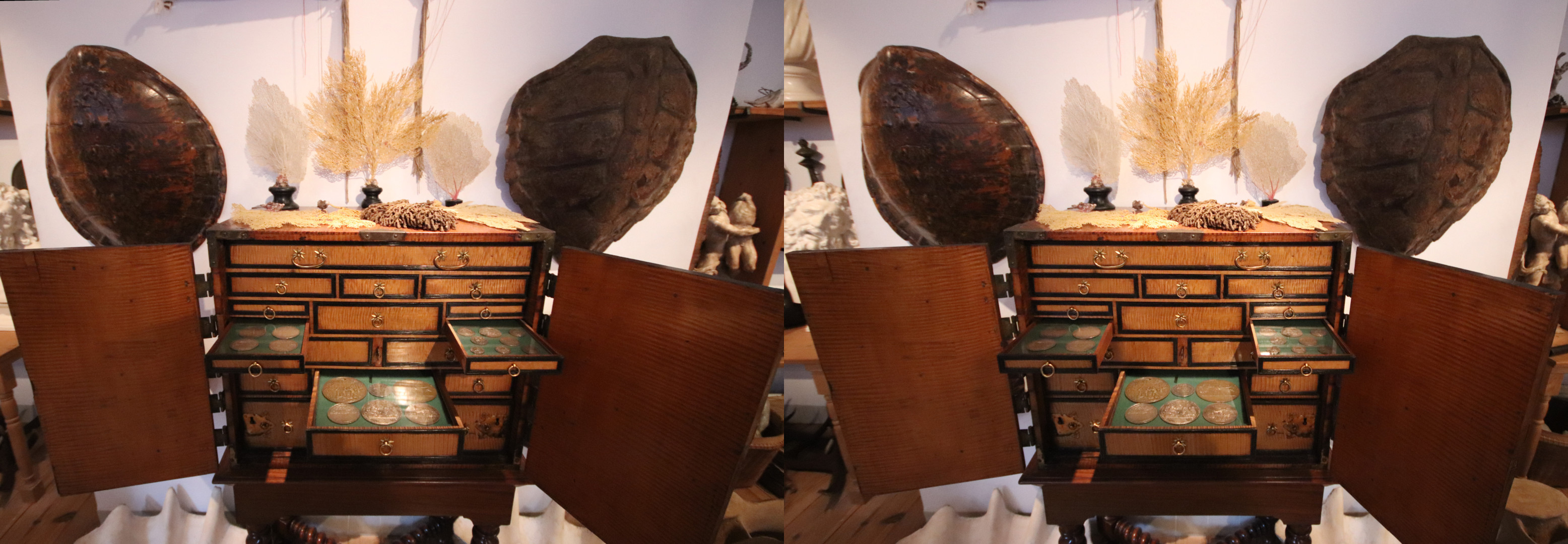 Cabinet de curiosités.