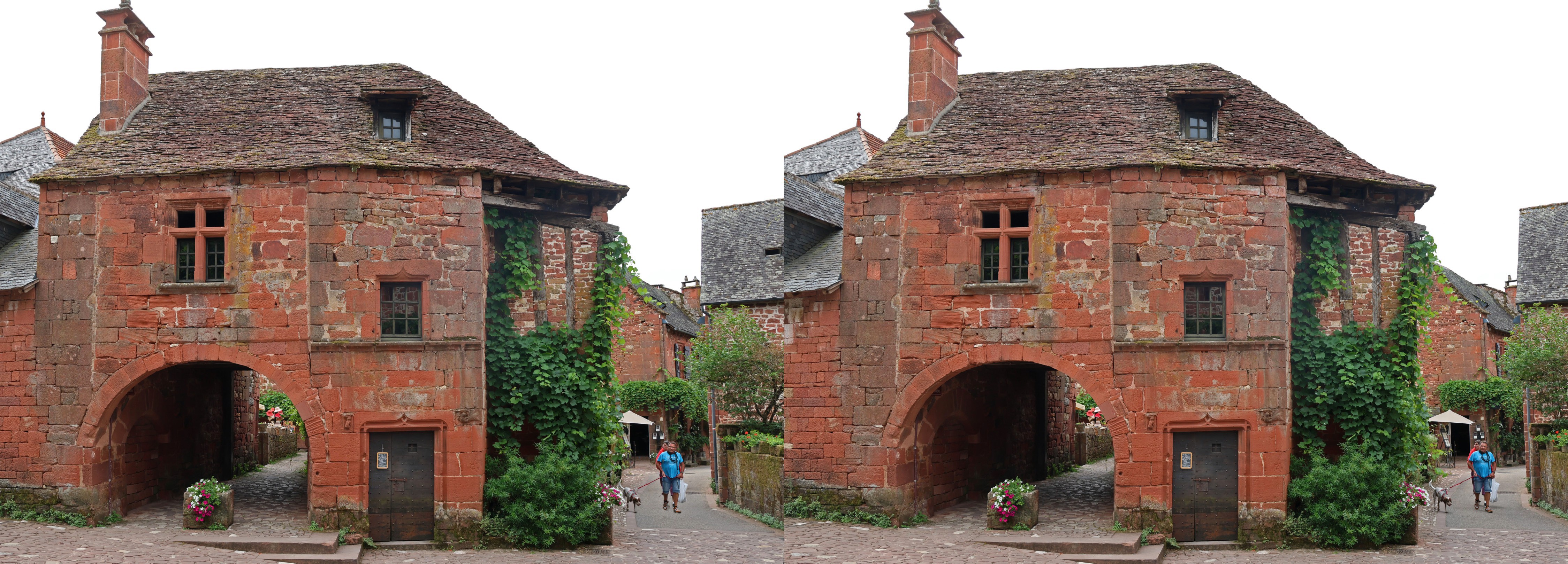 Maison dite de la sirène