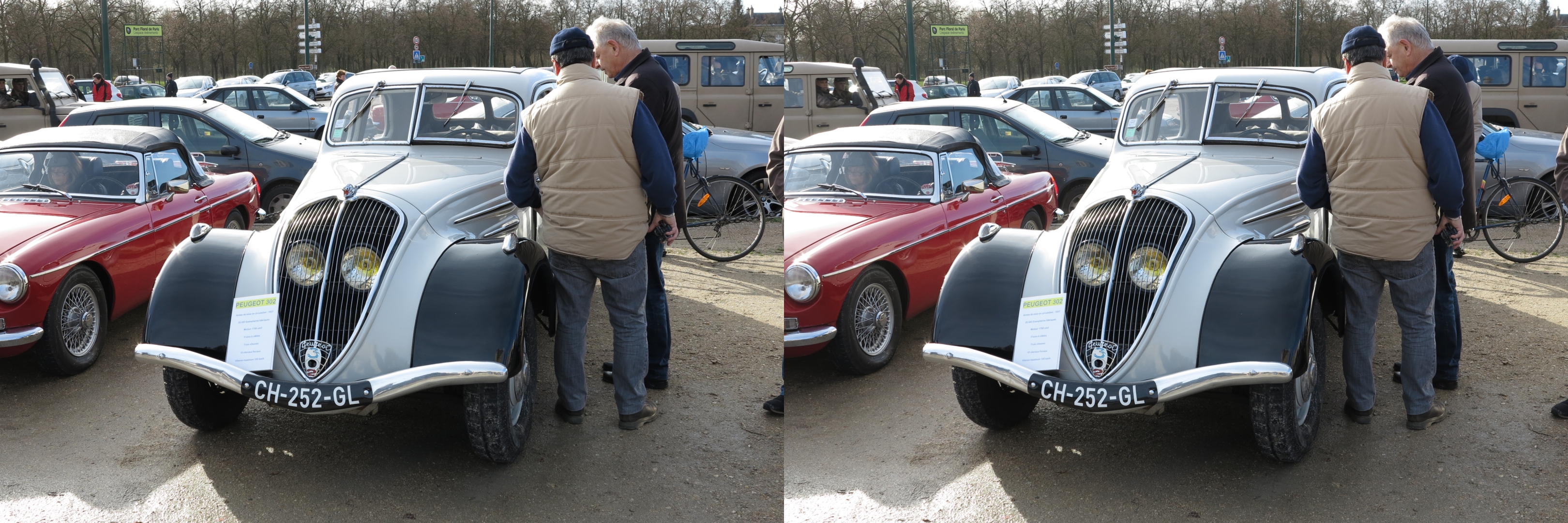 Peugeot 302