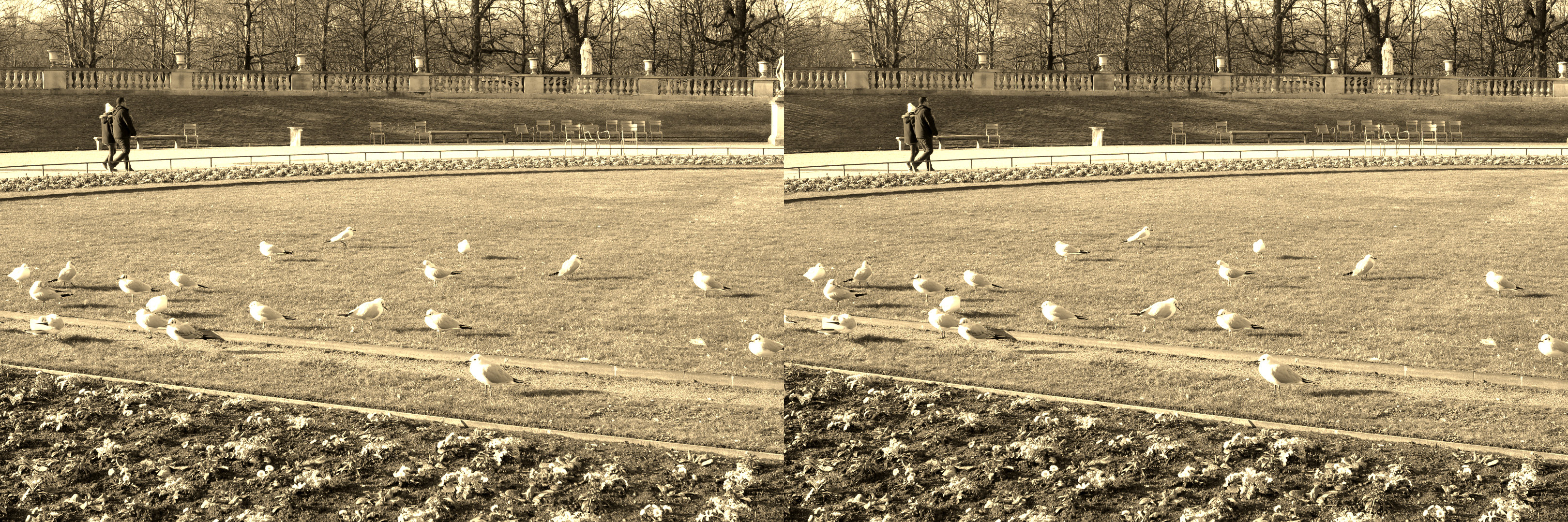 Jardin du Luxembourg