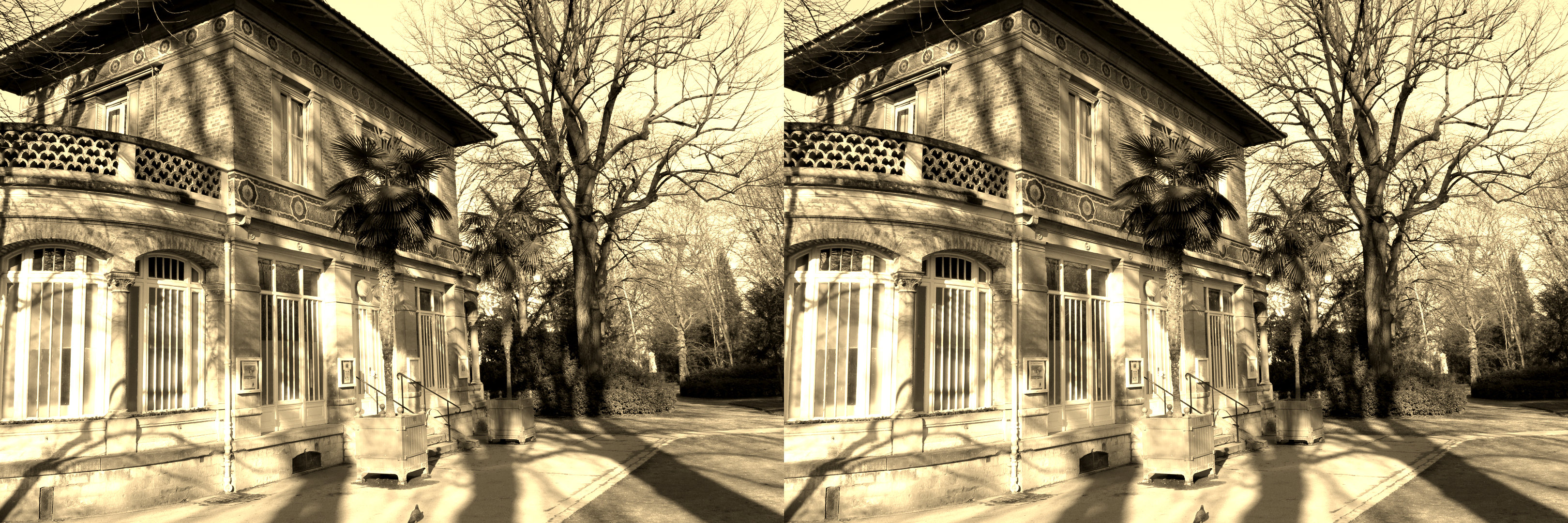 Jardin du Luxembourg