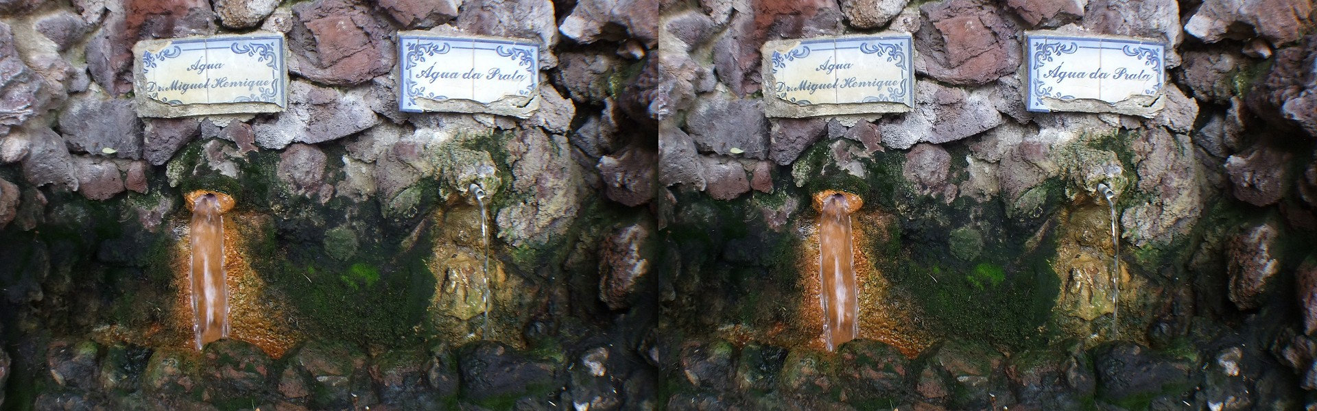 Portugal, Açores - São Miguel - Furnas