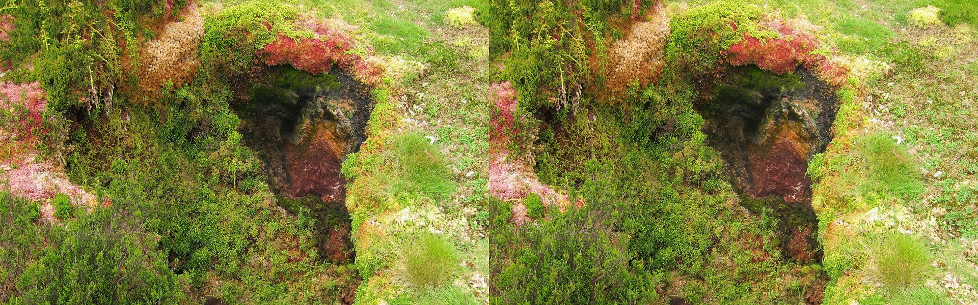 Portugal, Açores - Terceira - Furnas do Enxofre