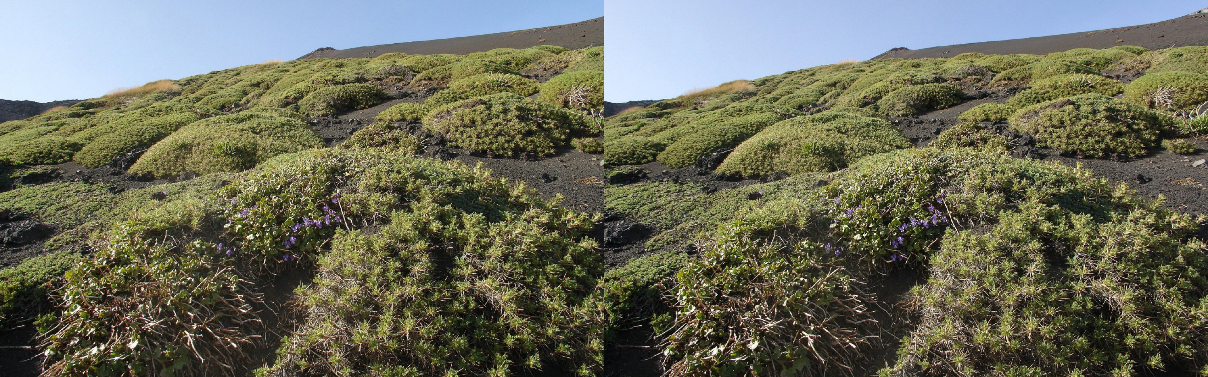 Italie, Sicile - Etna
