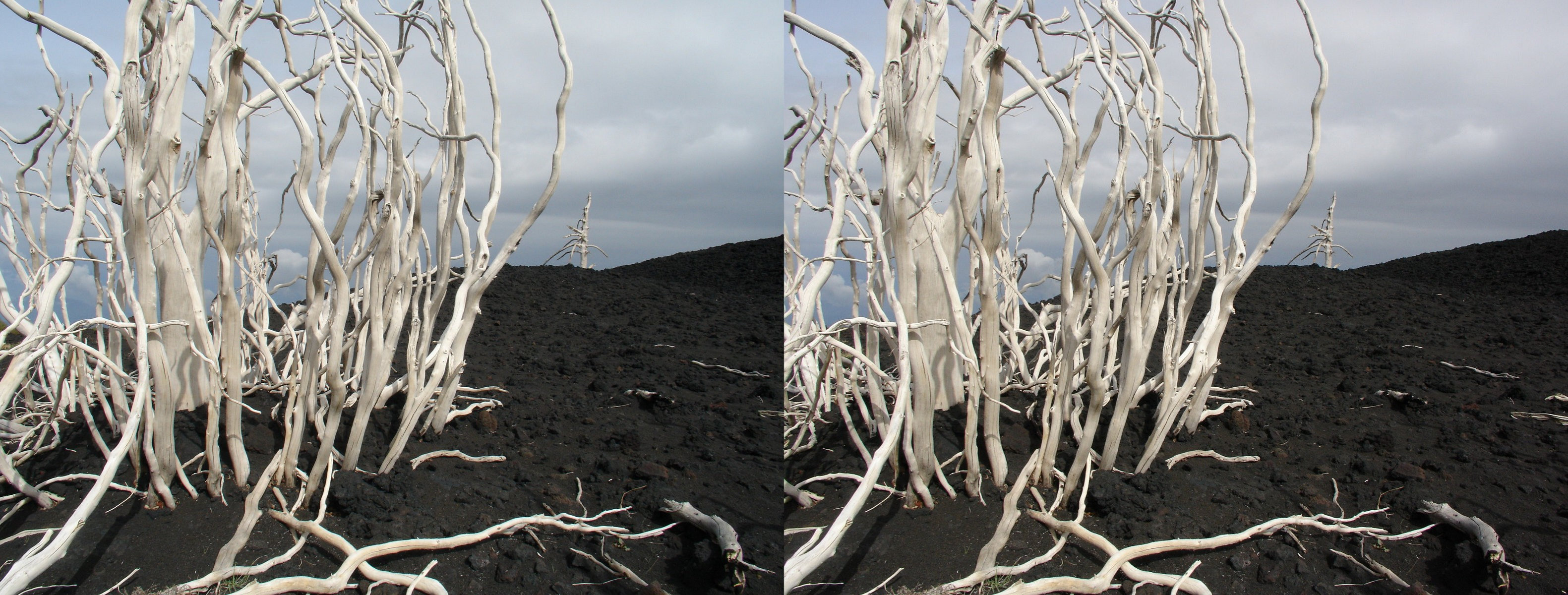 Italie, Sicile - Etna