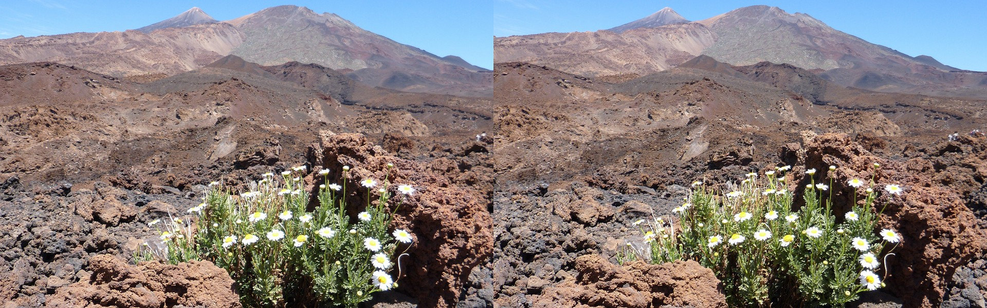 Espagne, Canaries - Tenerife - Volcan El Teide.