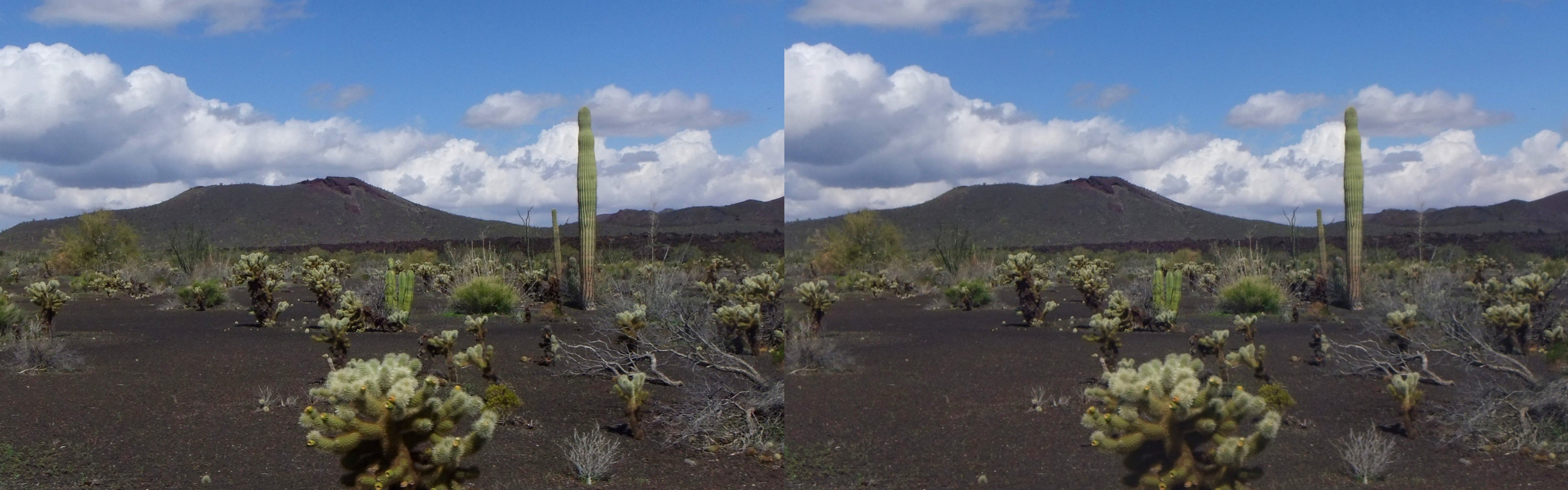 Mexique - Sonora - Volcan El Pinacate.