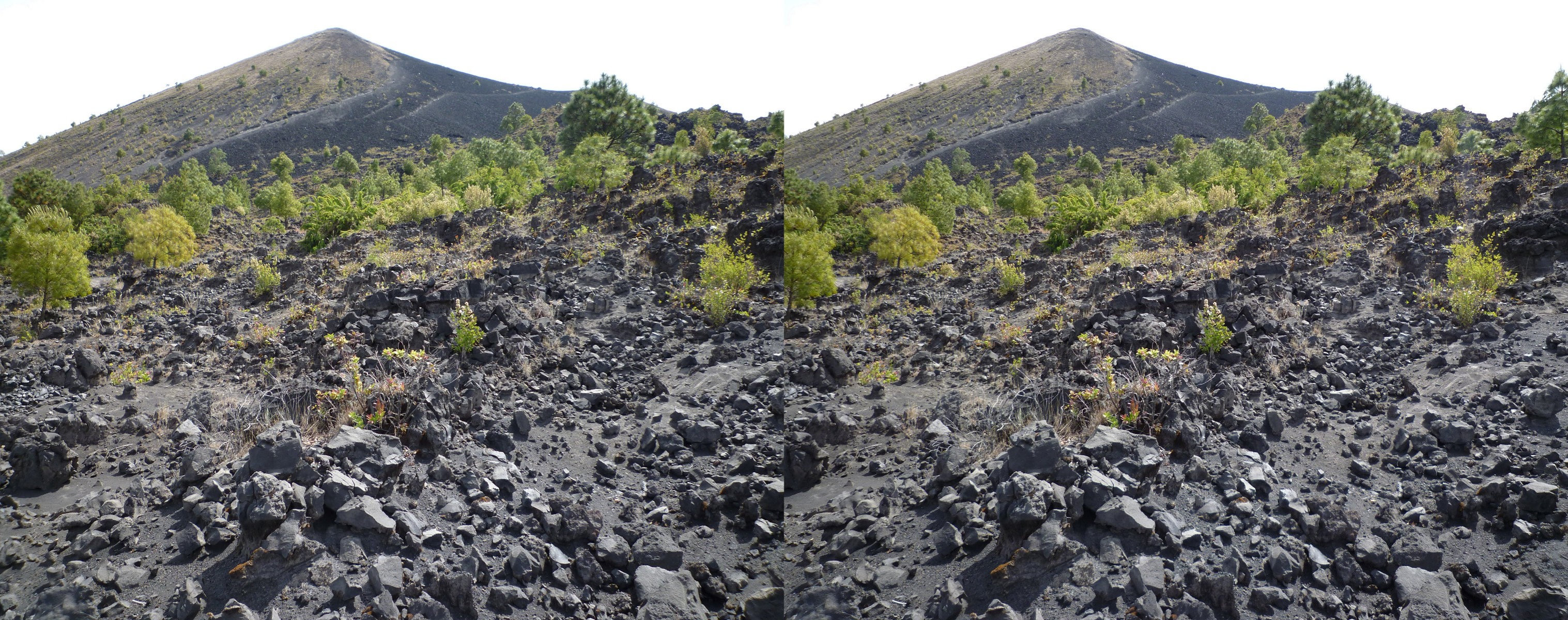 Mexique - Michoacán - Volcan Parícutin.