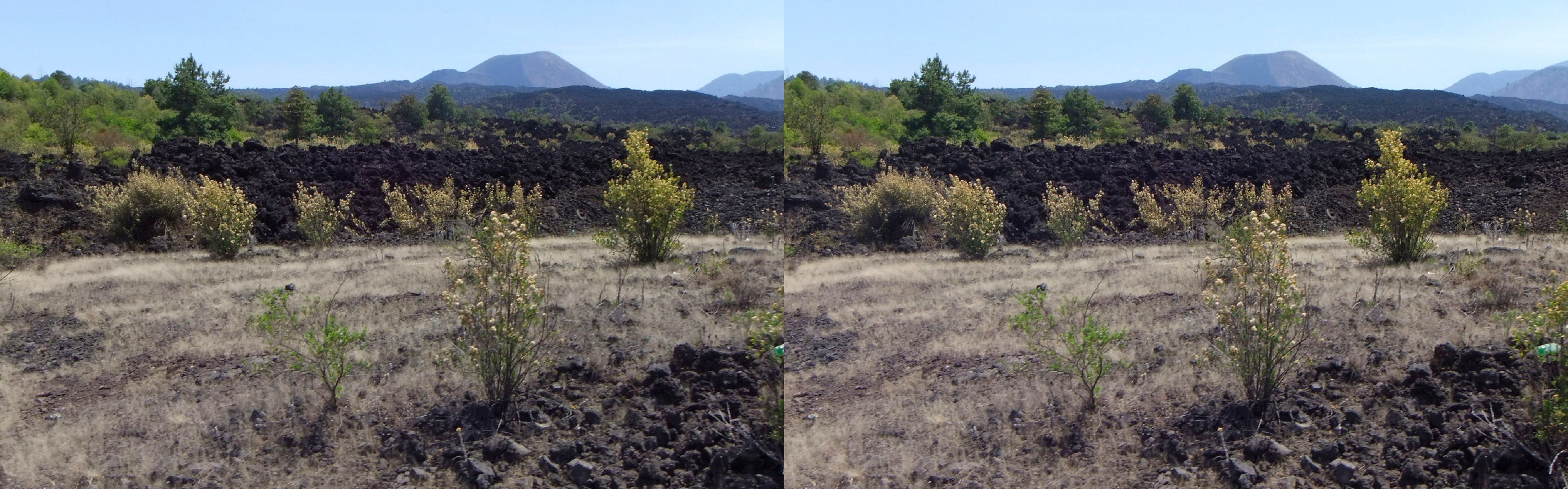 Mexique - Michoacán - Volcan Parícutin.