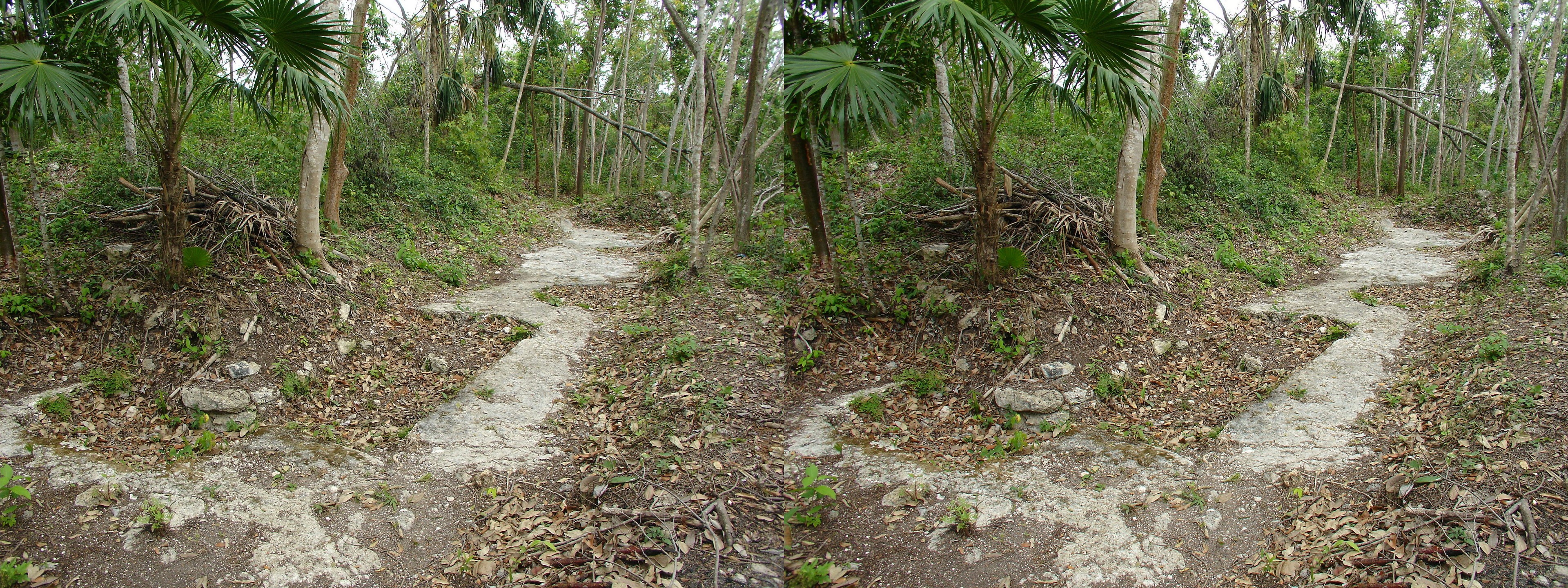 Site archéologique maya de Cerros