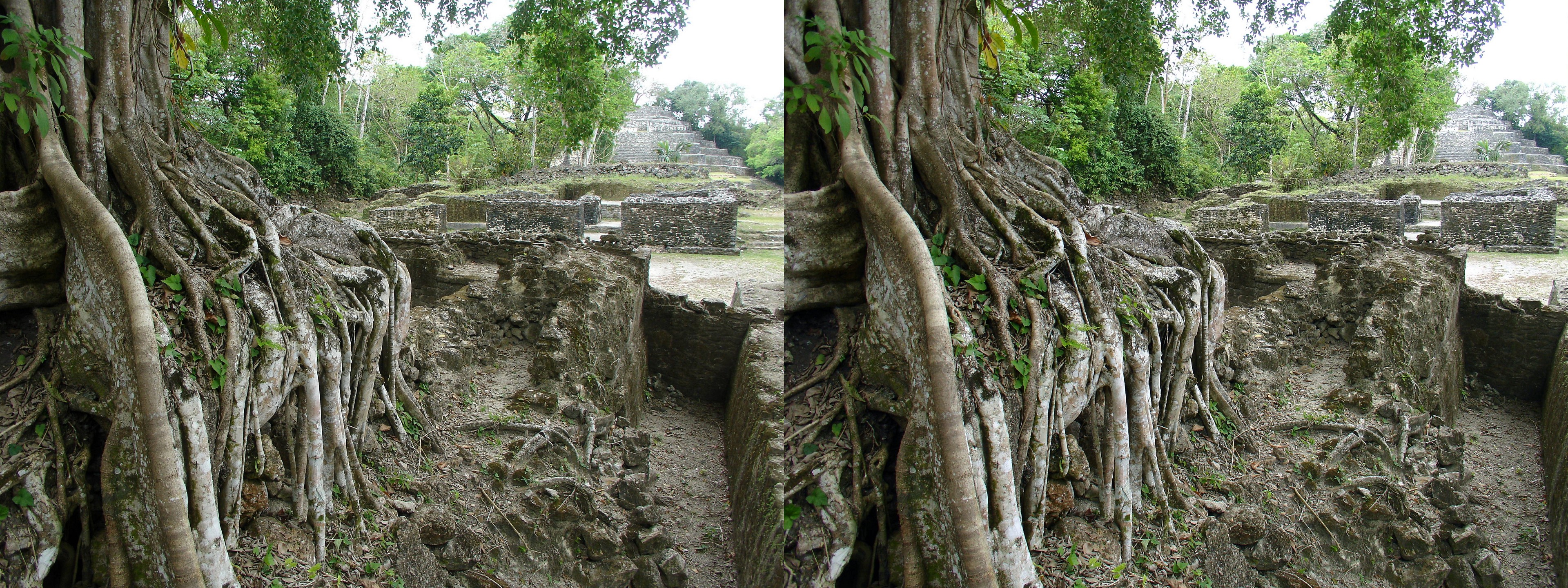 Site archéologique de Lamanai