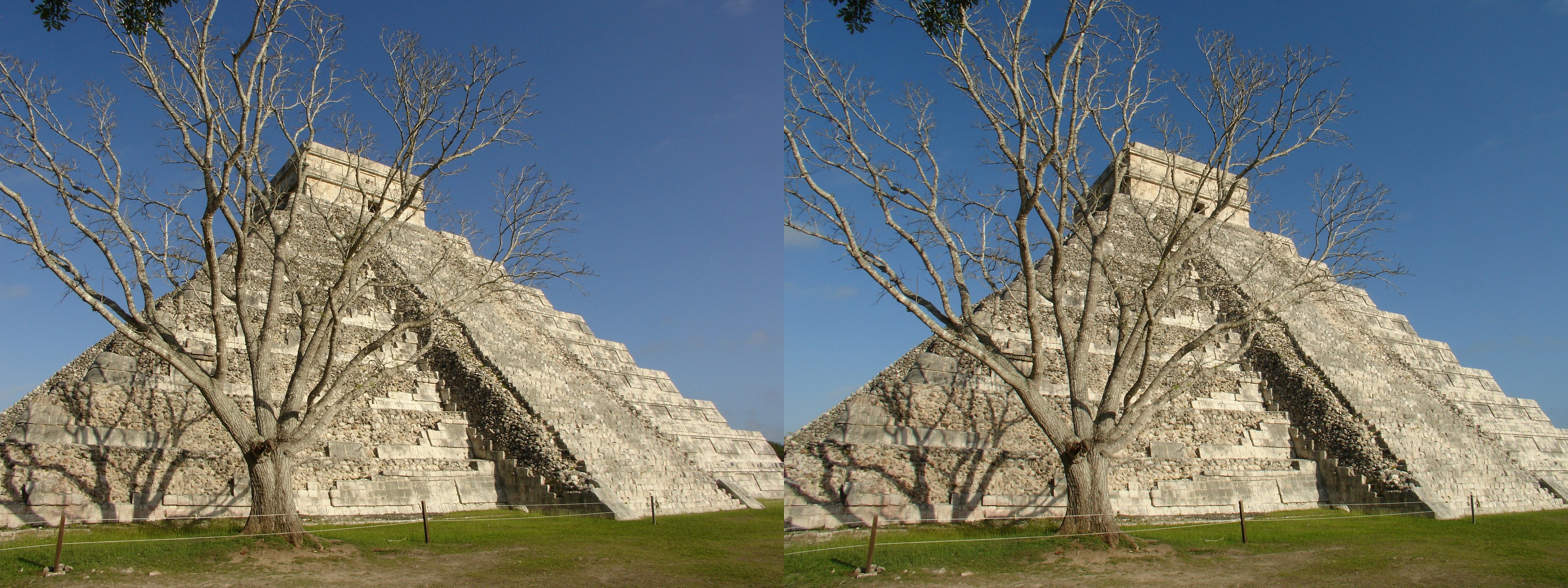 La pyramide de Kukulcán derrière un arbre
