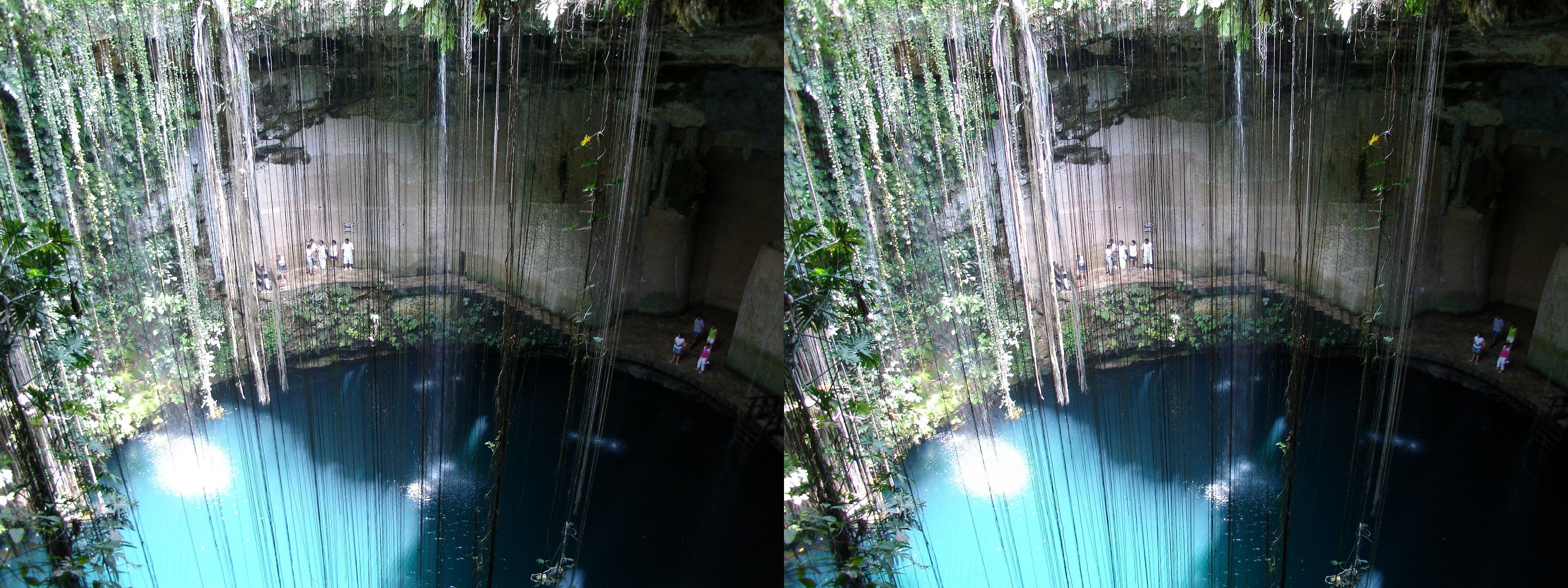 Vue plongeante sur la cenote et les lianes qui pendent depuis le rebord