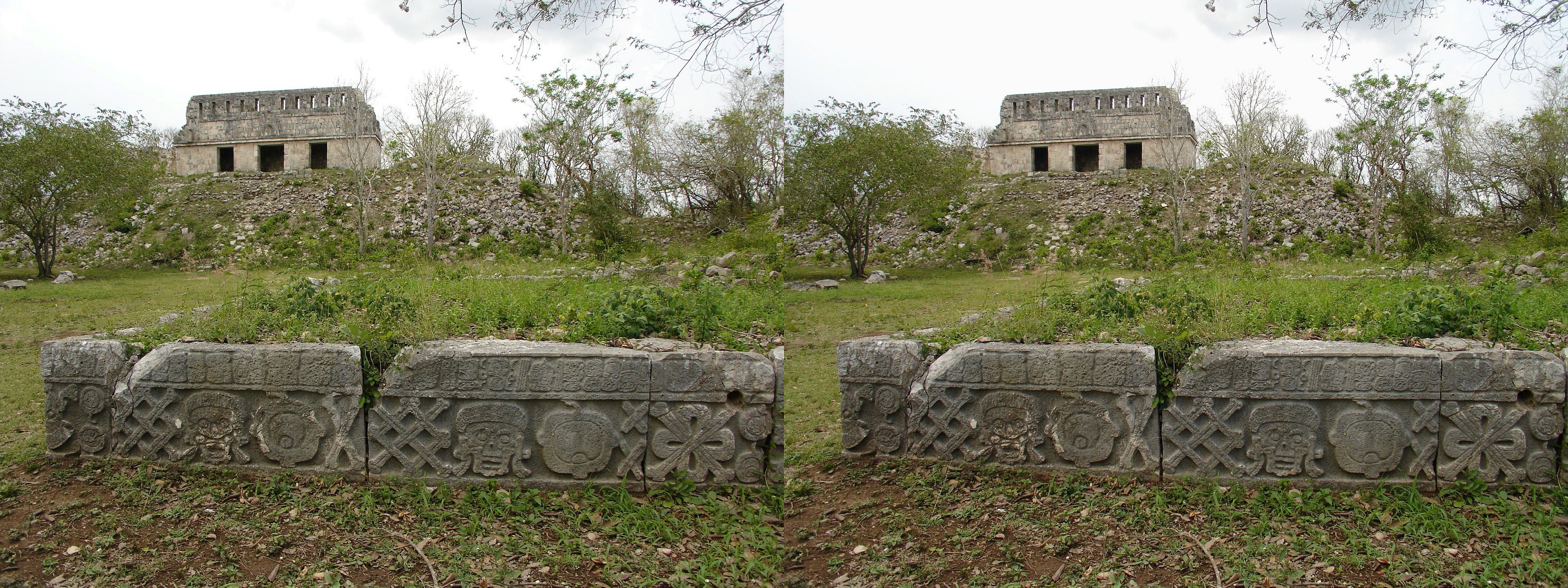 Mur bas avec des têtes de mort