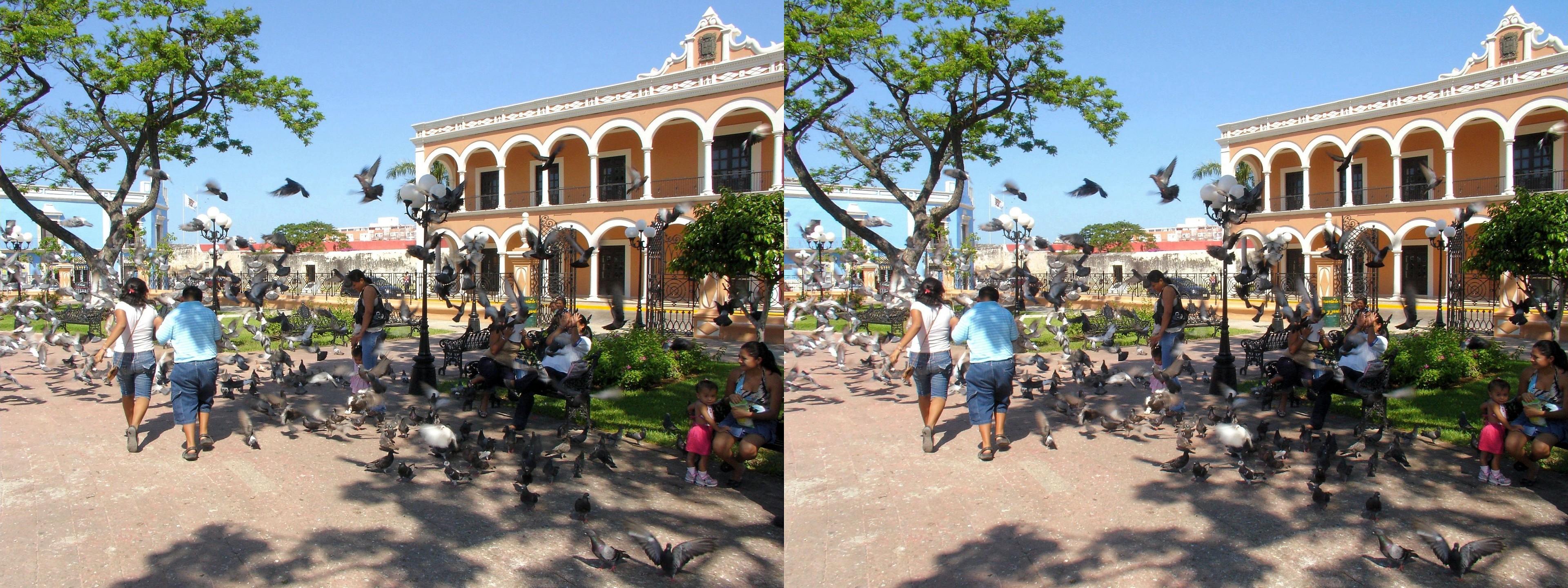 Envol de pigeons sur le Zocalo, la place centale