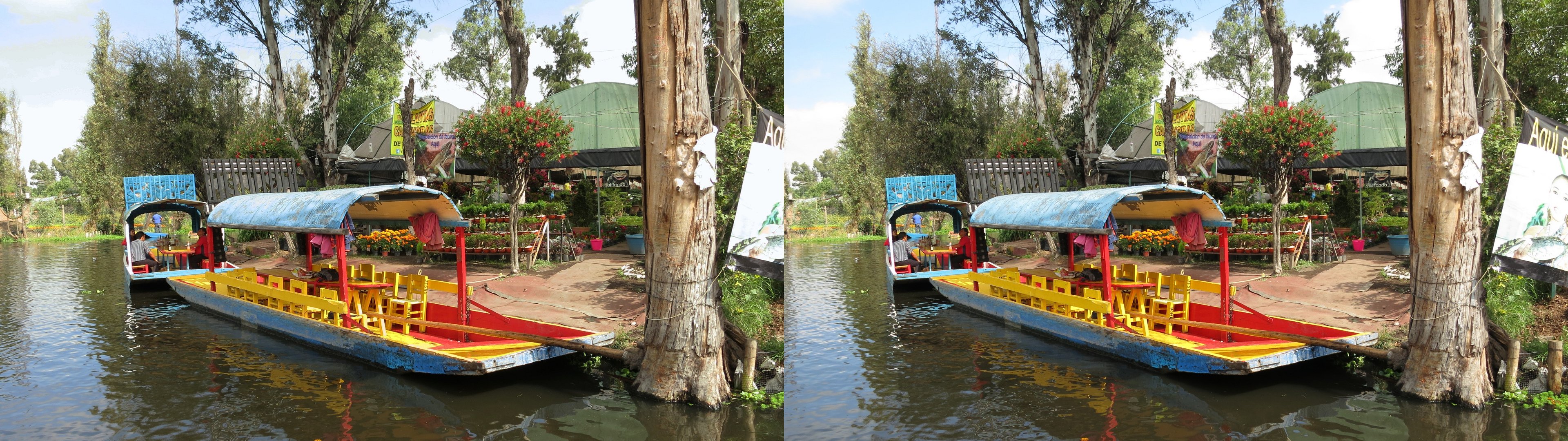 Xochimilco, marchand de fleurs sur la berge