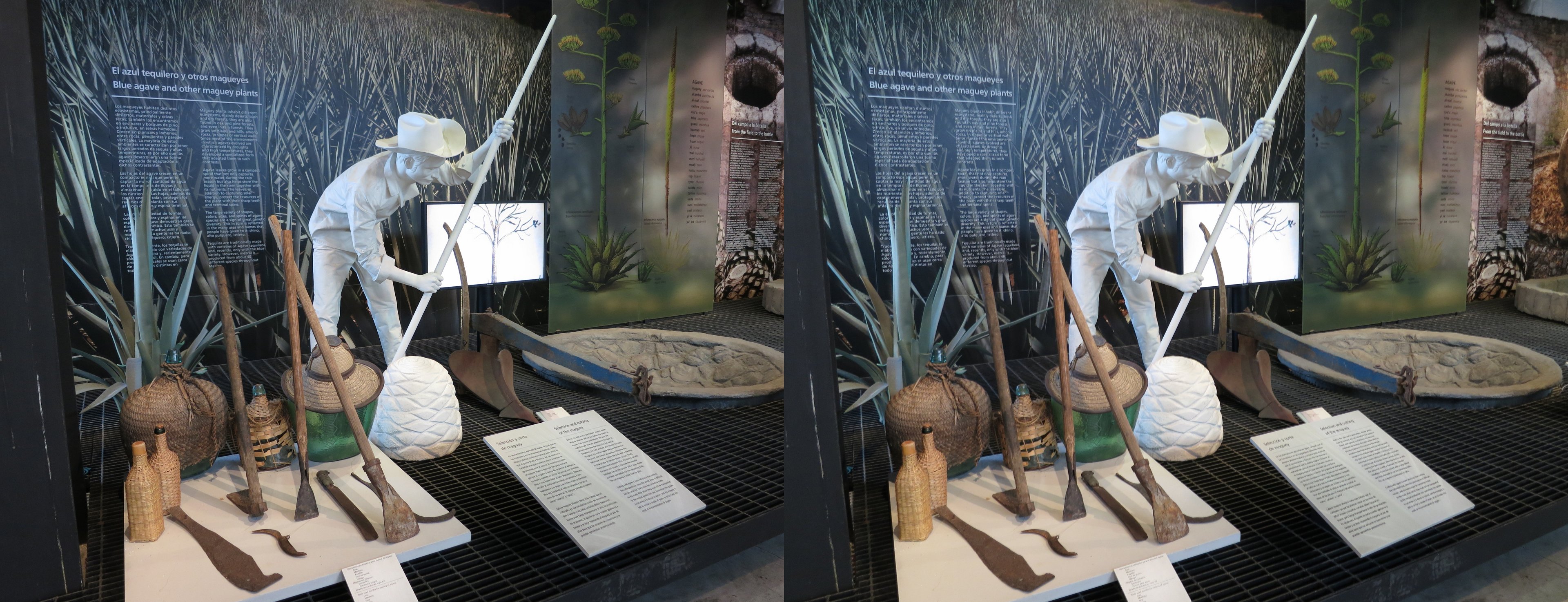 Museo del Tequila y Mezcal