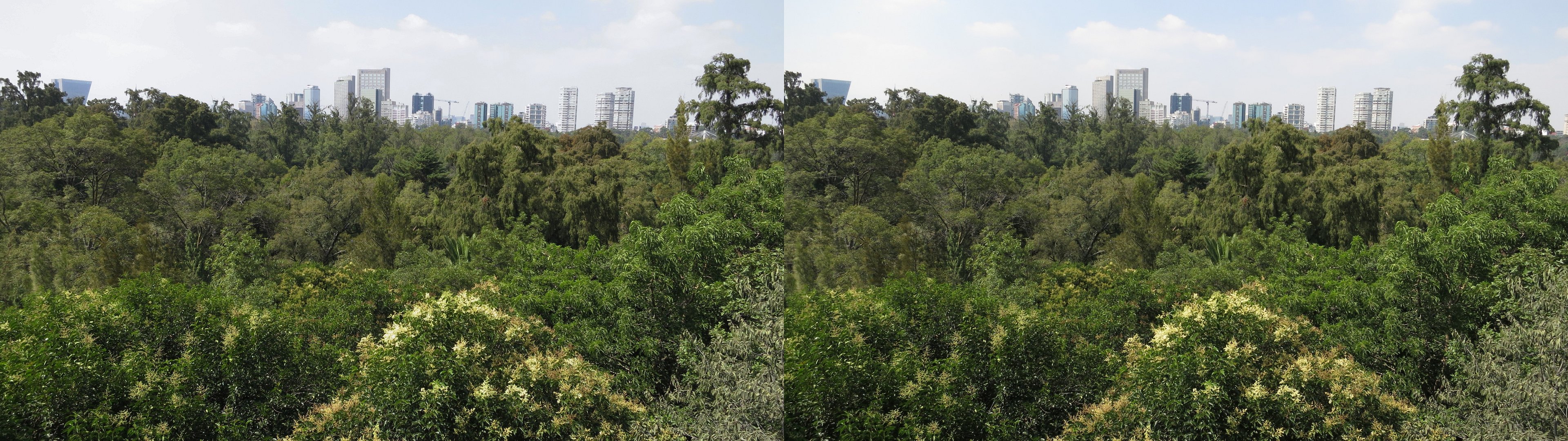 Bosque de Chapultepec, vue depuis le château