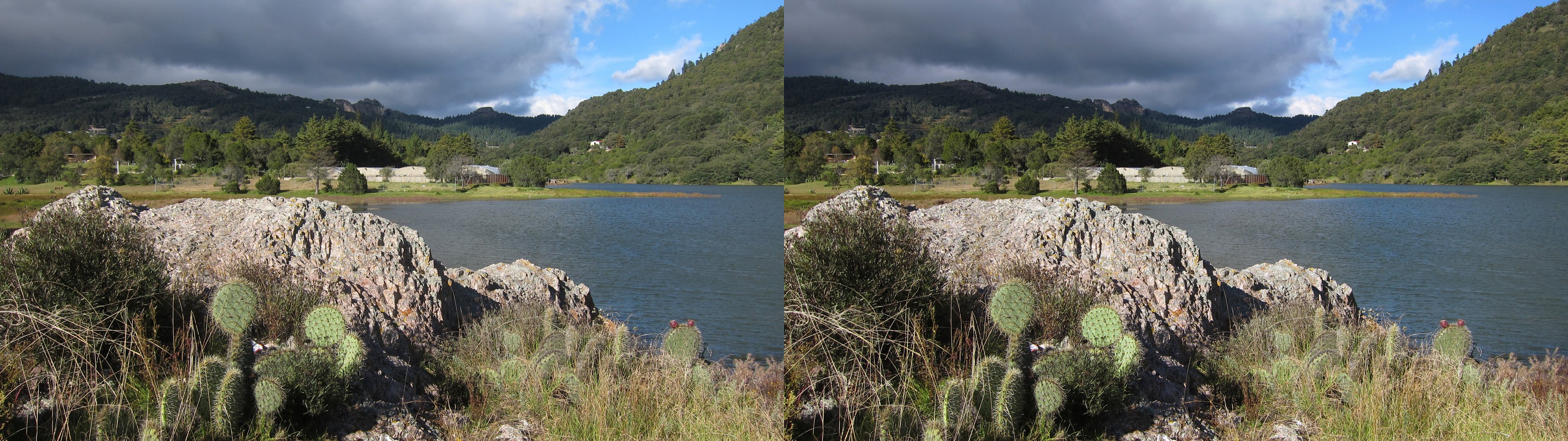Au bord du lac