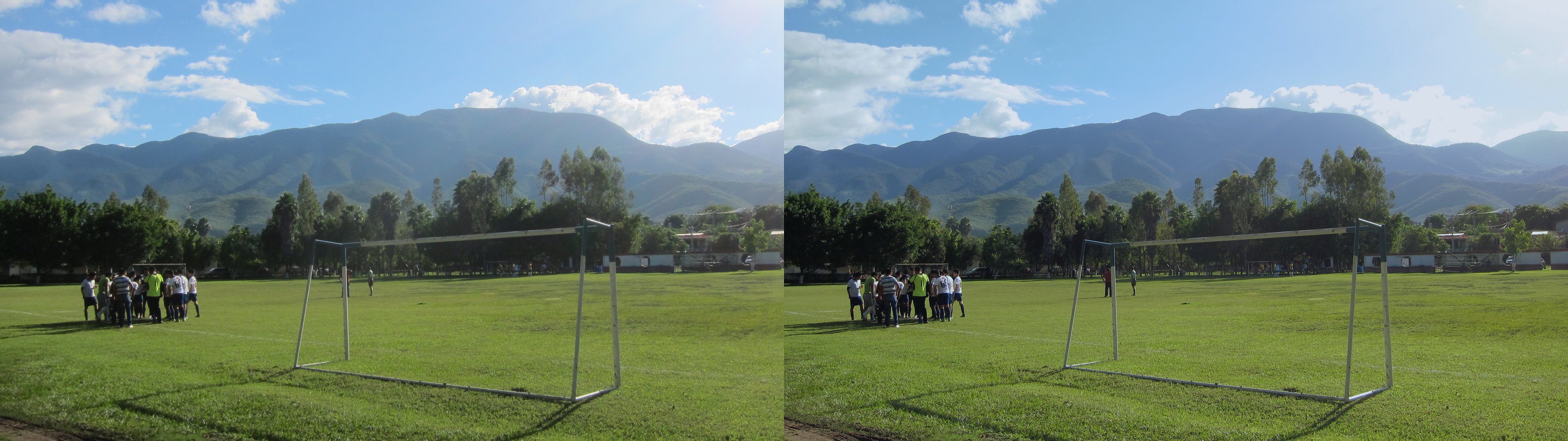 Terrains de sport