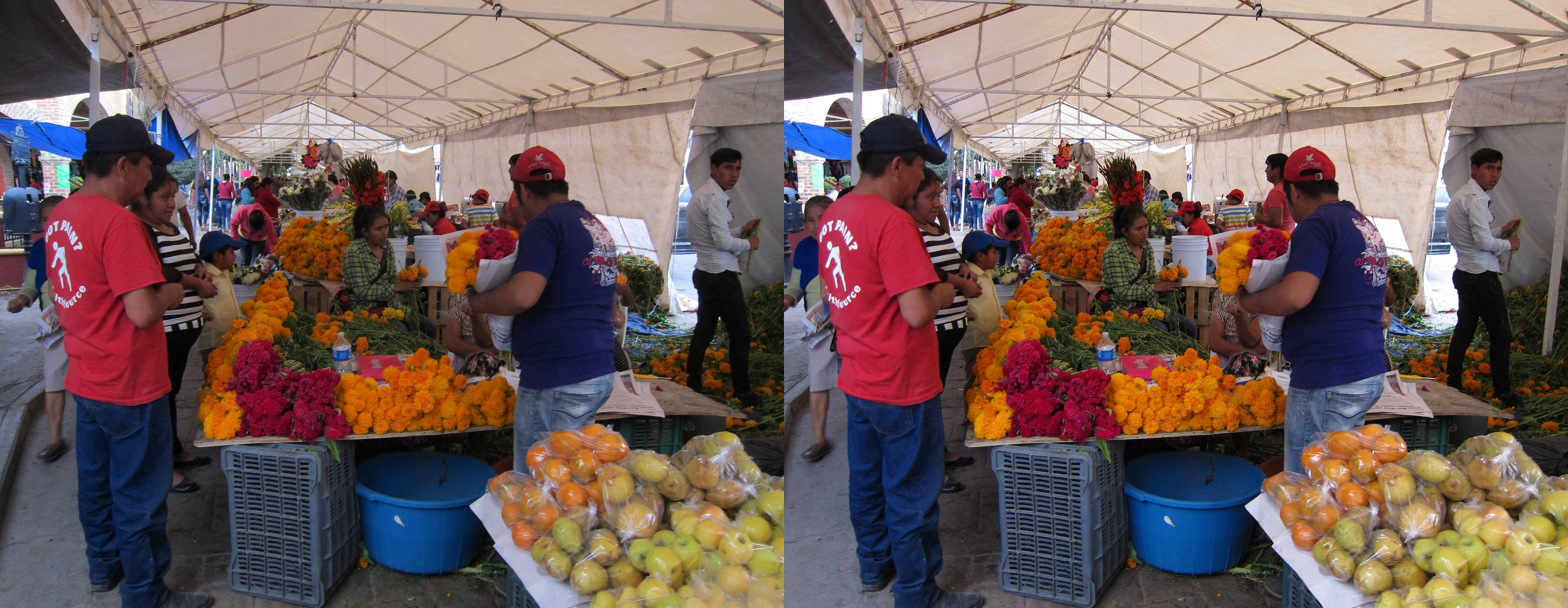 Au marché, vente de cempasúchil