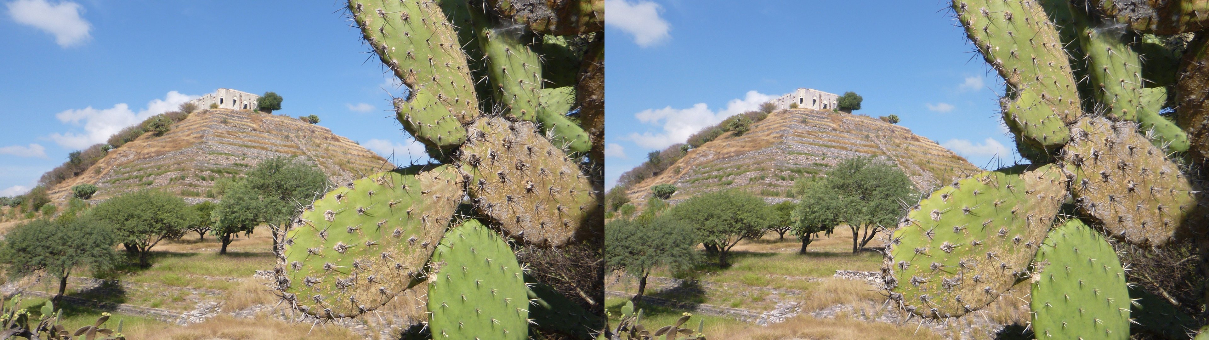 Site archéologique El Cerrito