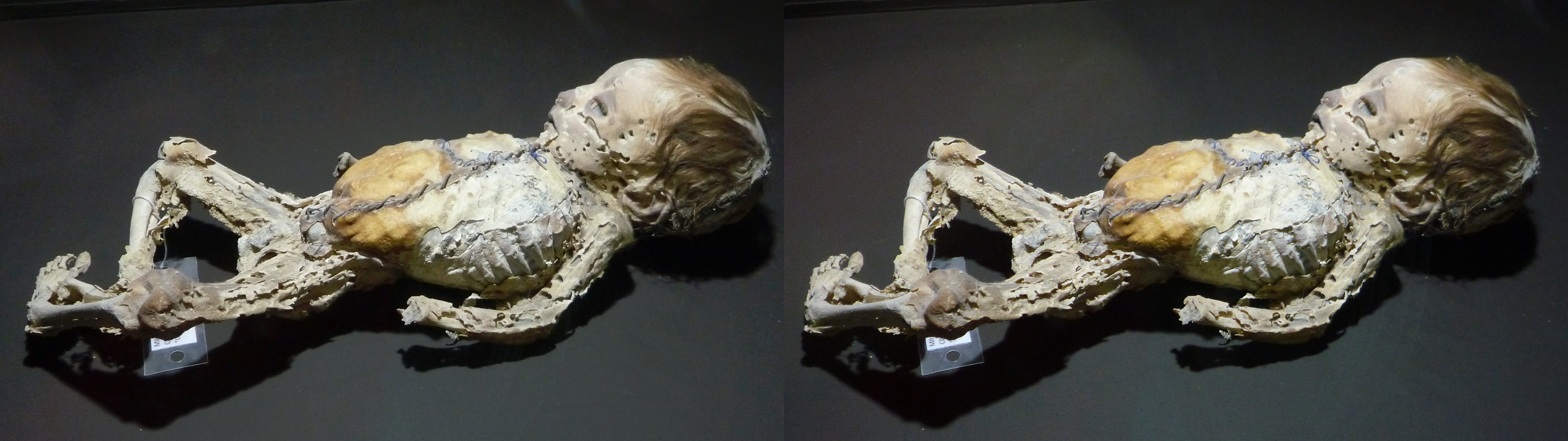 Museo de las Momias de Guanajuato, nouveau-né