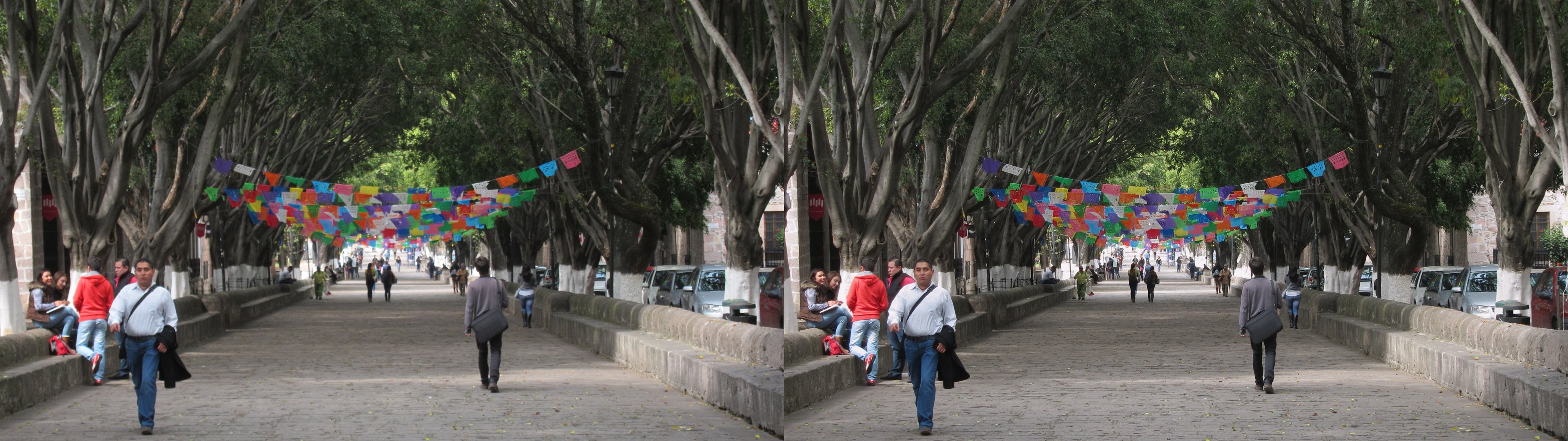 Calzada Fray Antonio de San Miguel
