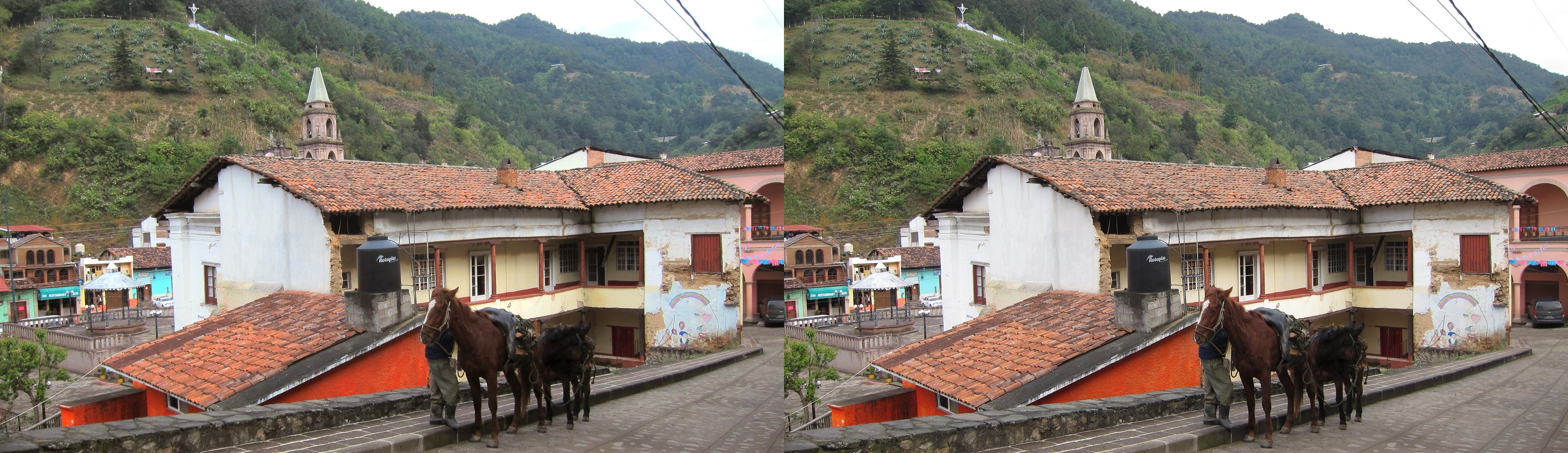 Muletier et ses animaux, calle Libertad