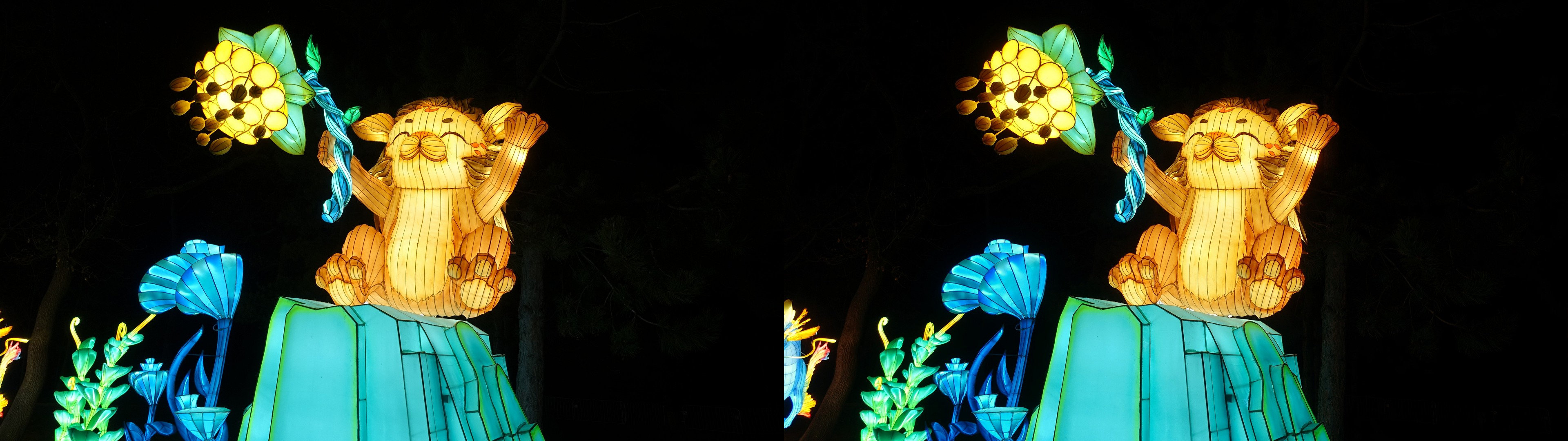 JardinAccl_051_P