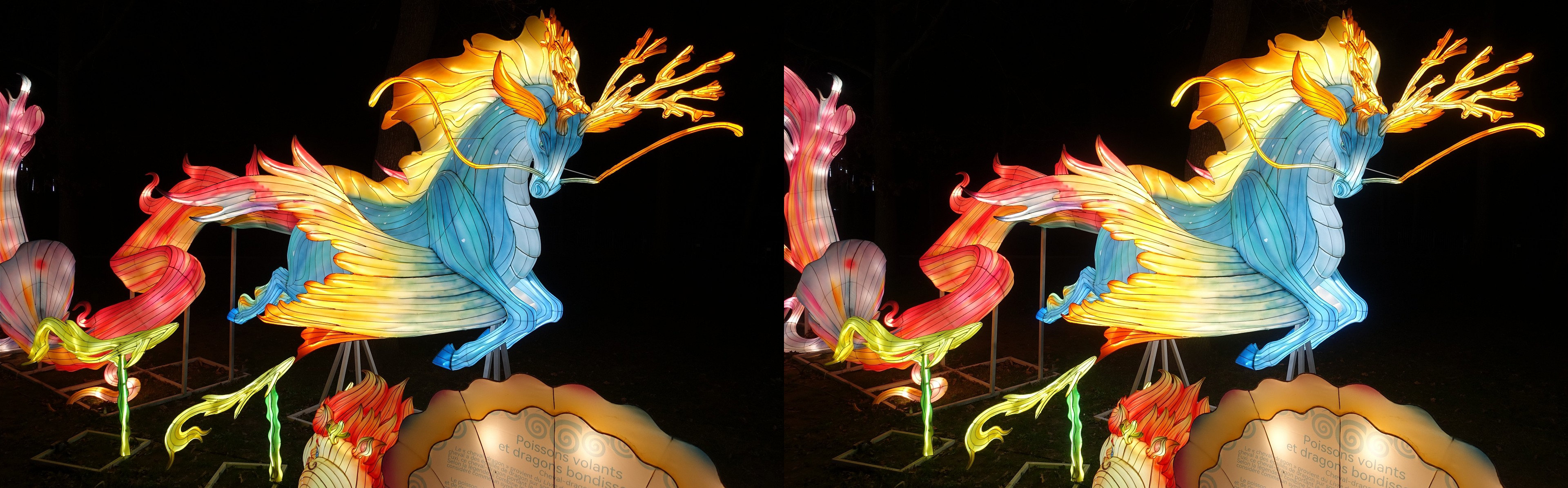 JardinAccl_054_P