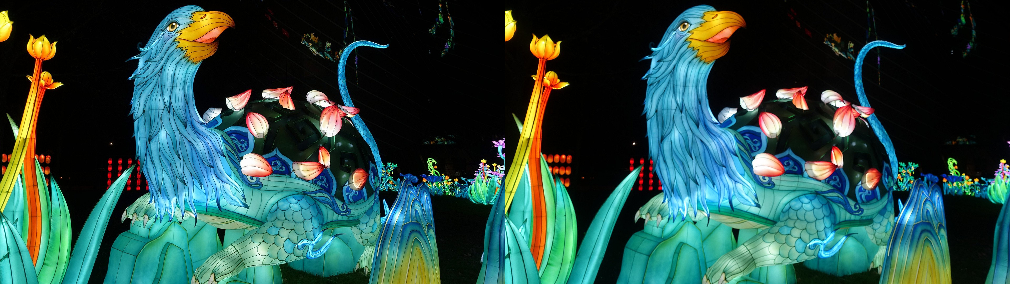JardinAccl_067_P