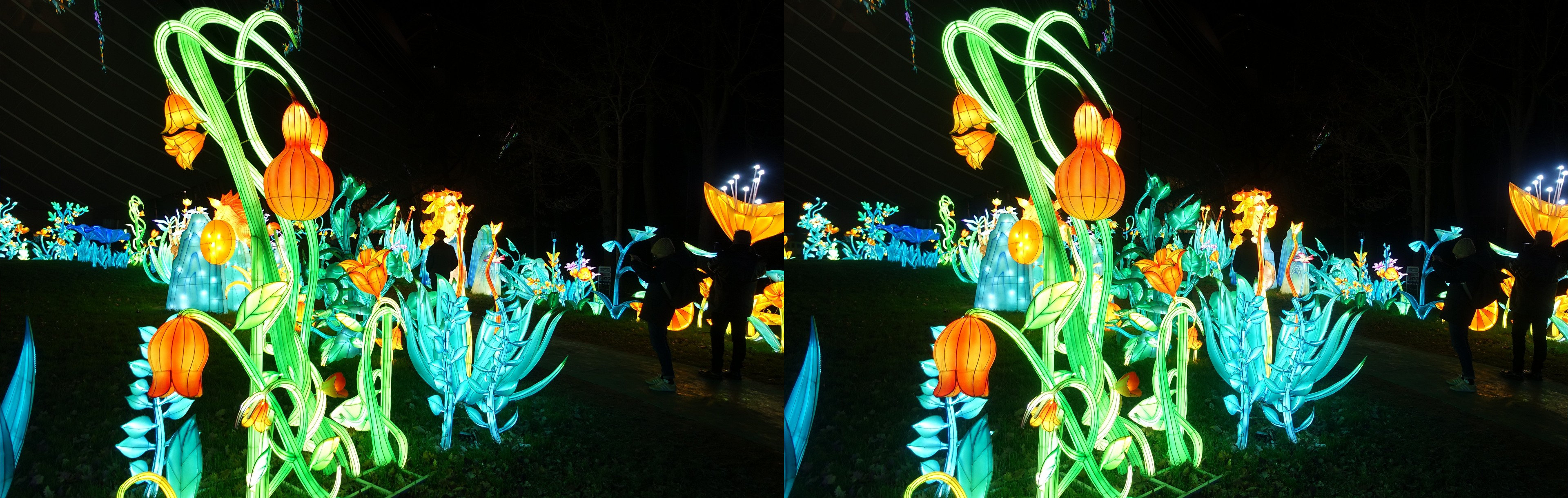 JardinAccl_069_P