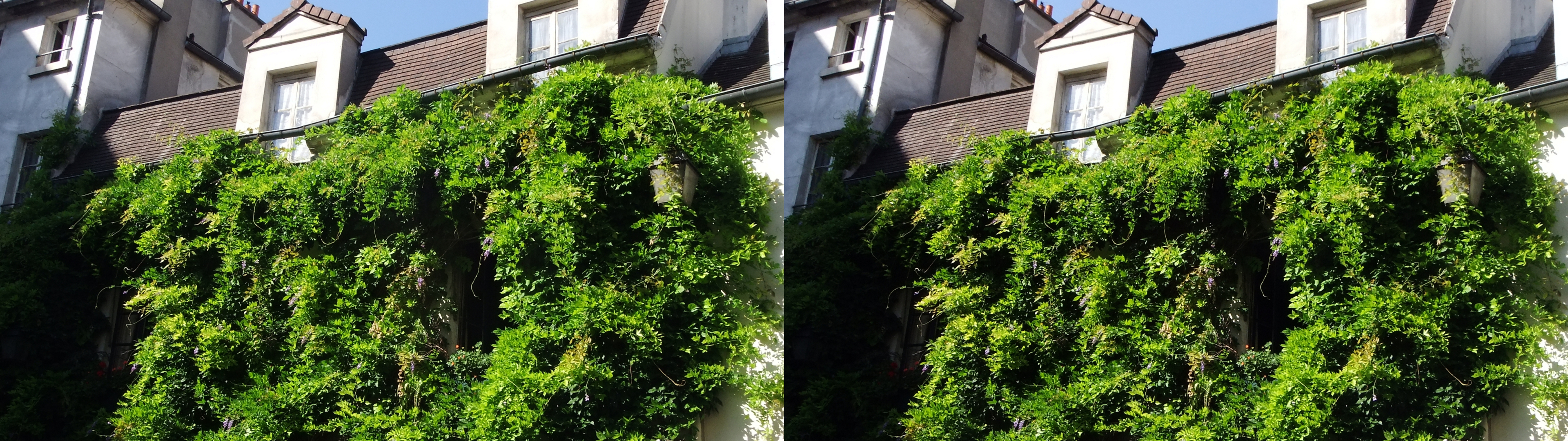 dscf1764