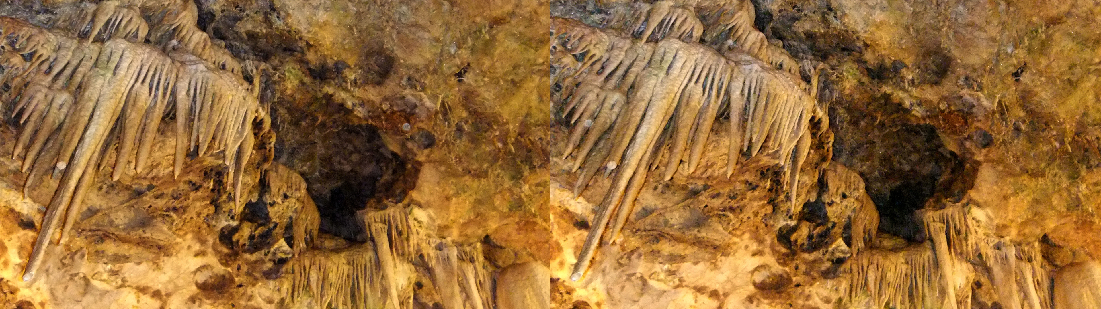 dscf2307