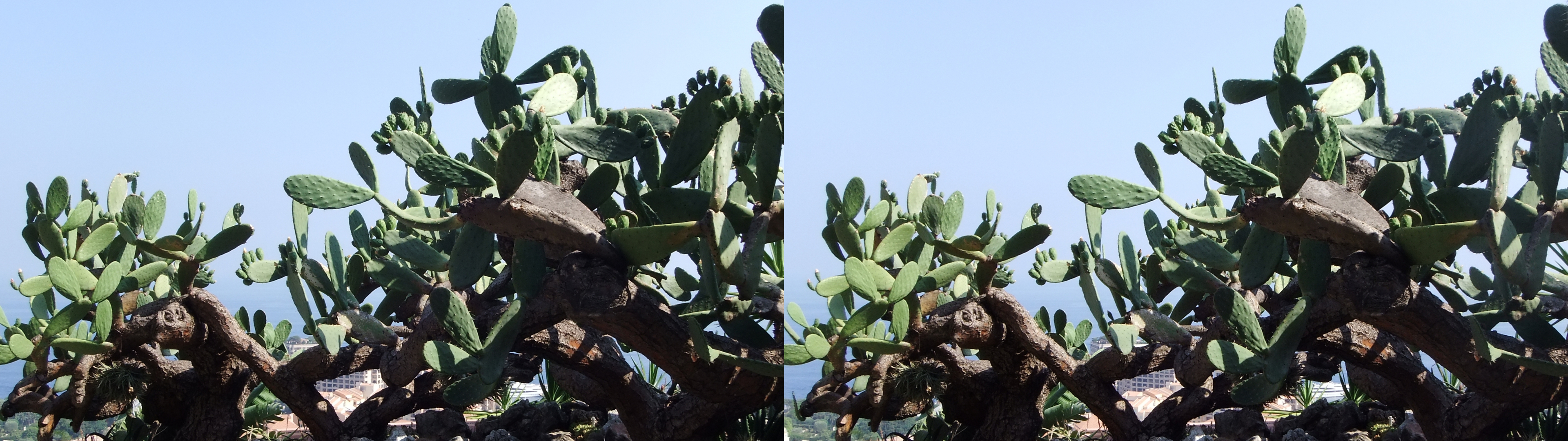 dscf2371