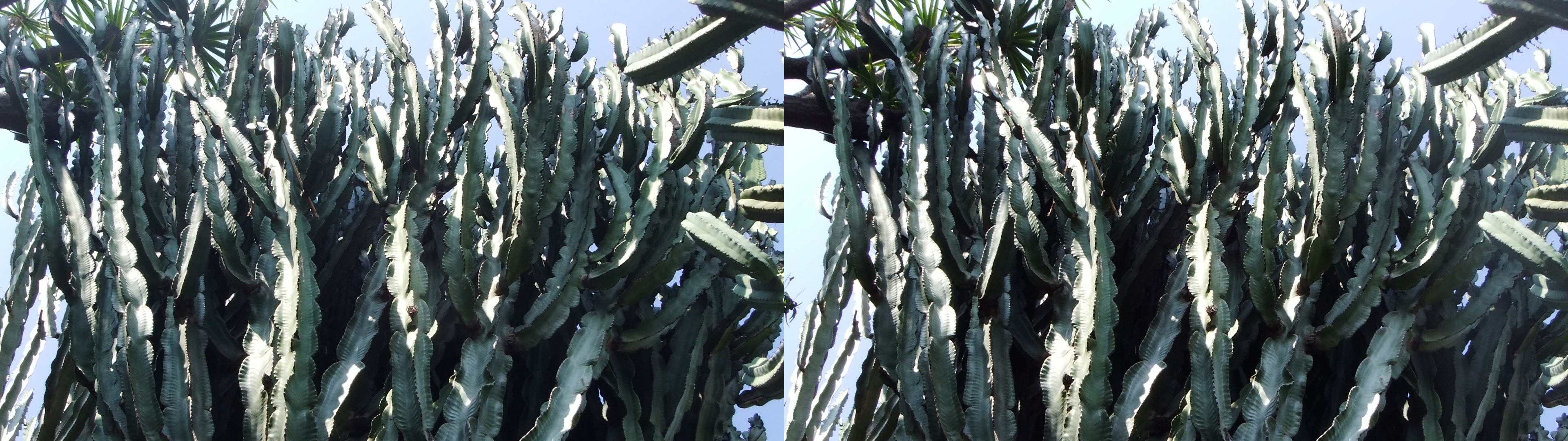 dscf2378