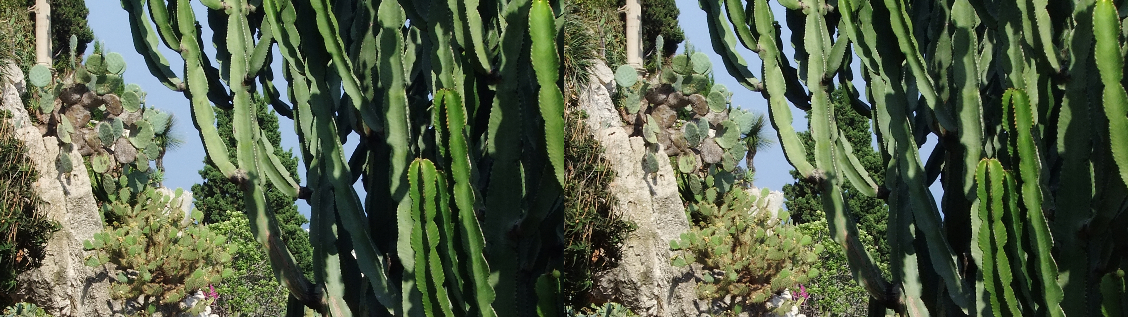 dscf2413