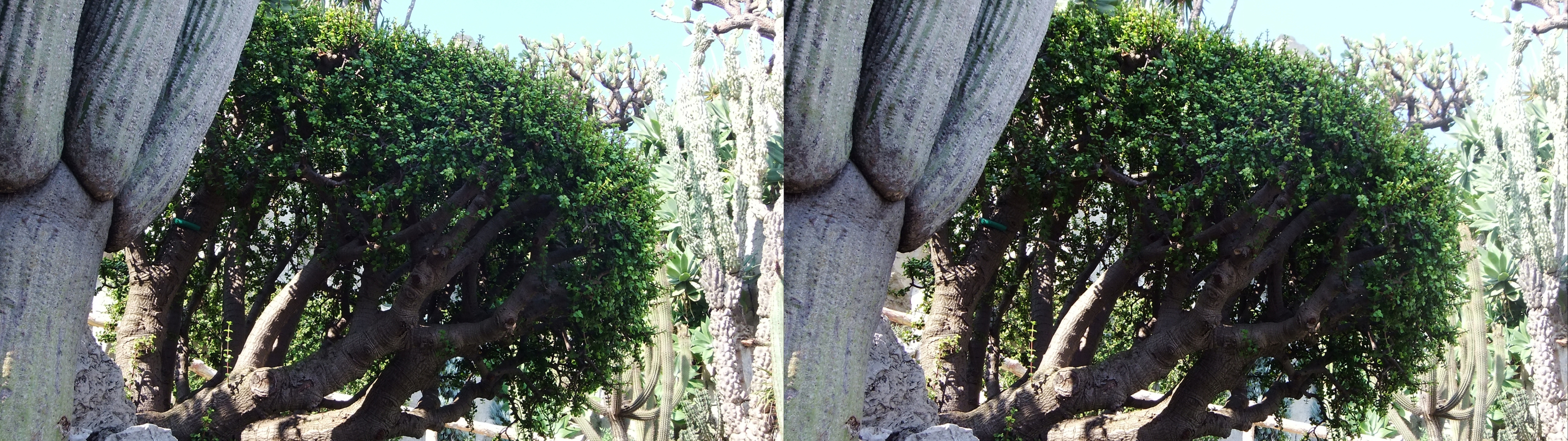 dscf2419