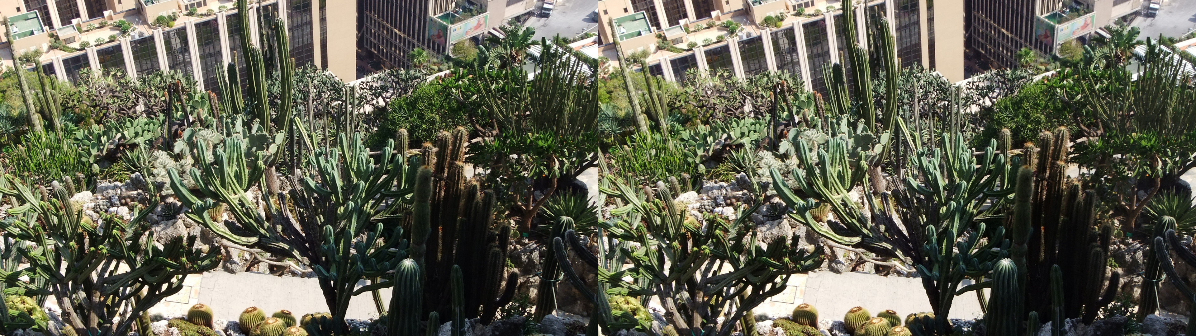 dscf2425 b