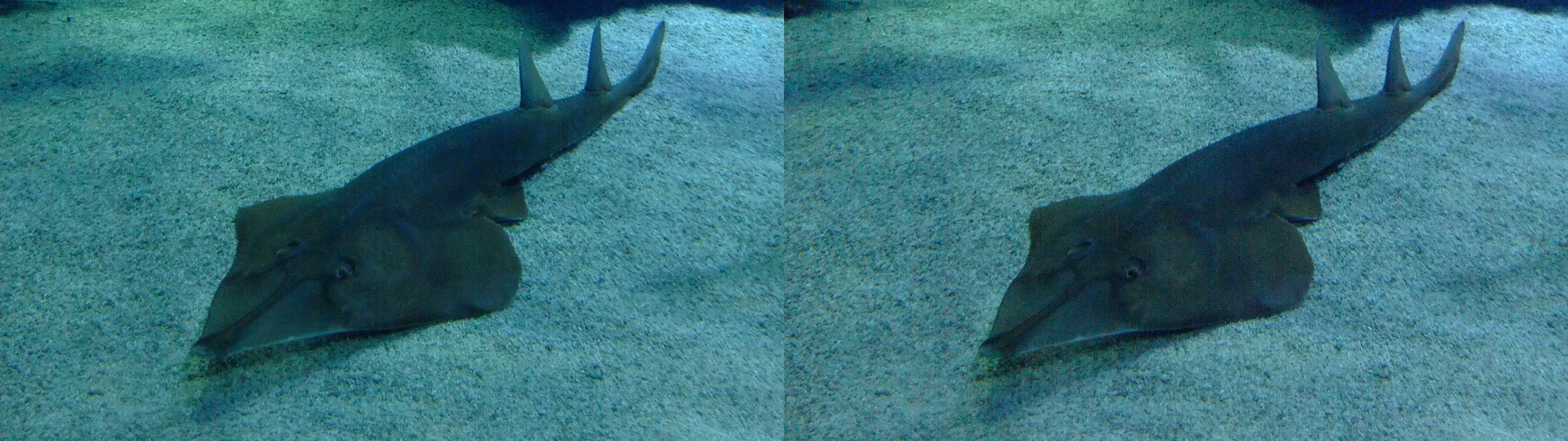 dscf2536
