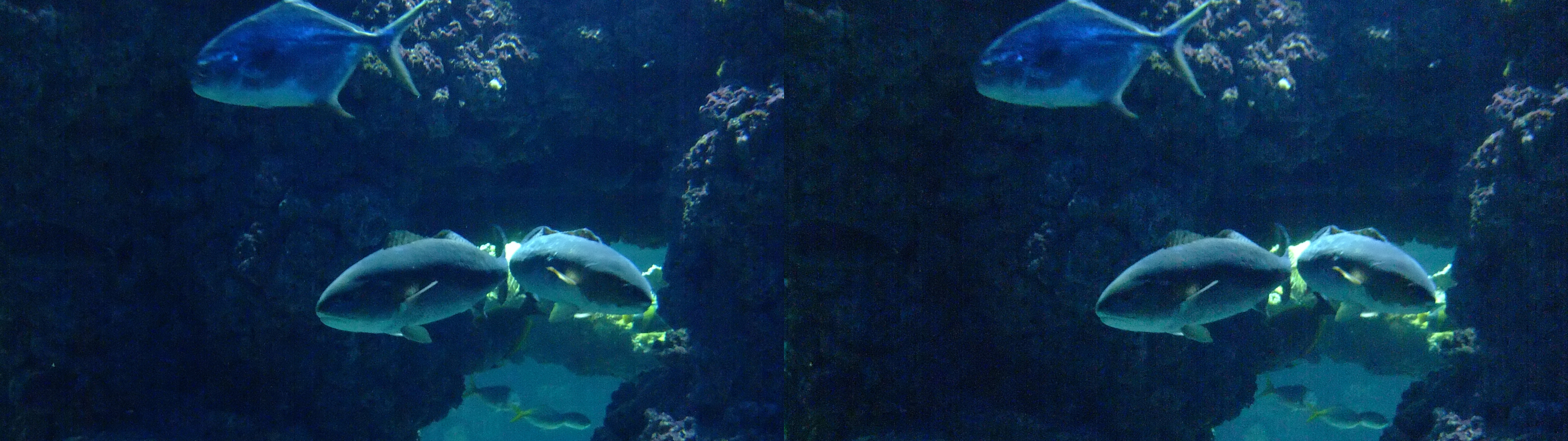 dscf2553
