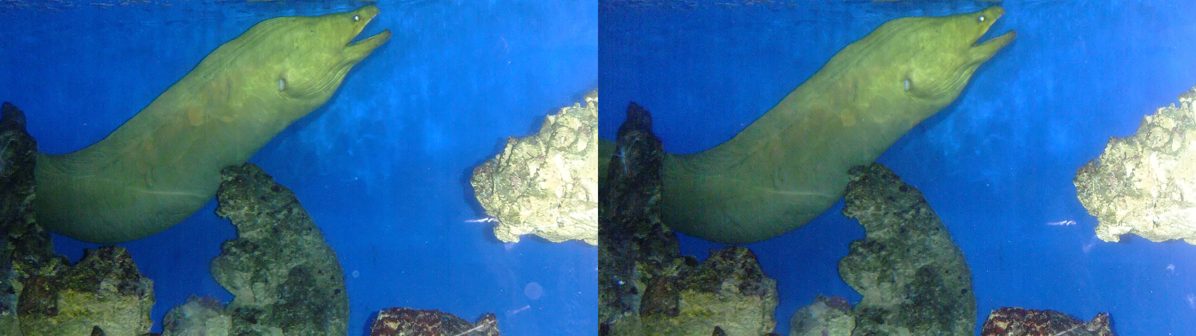 dscf2574