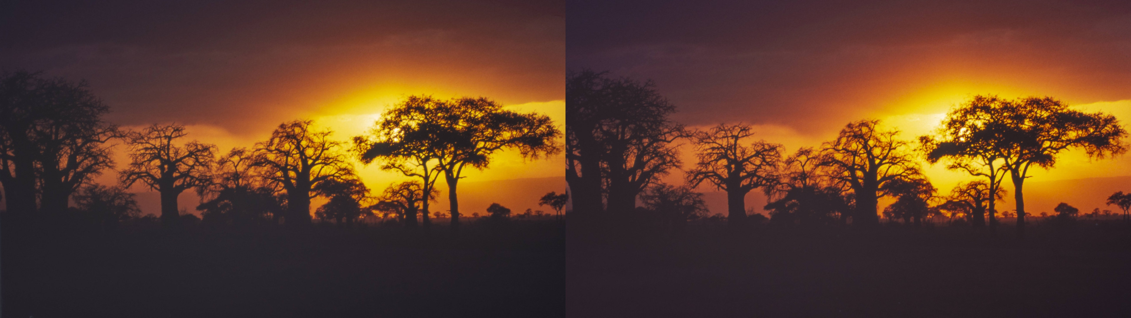 Fin de safari photos