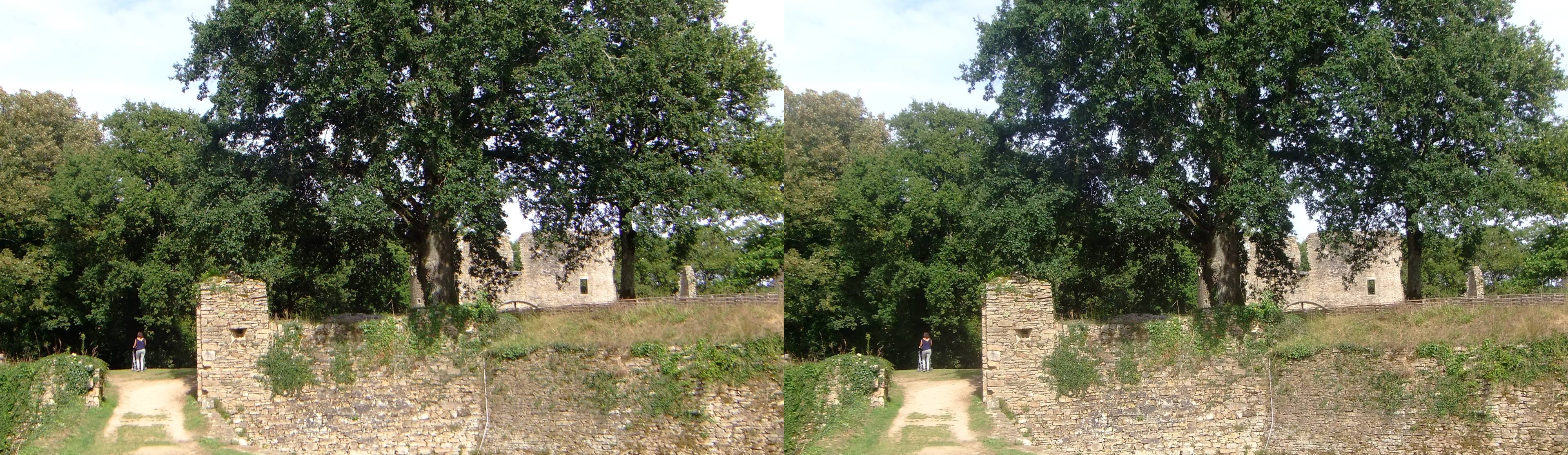 Château de Ranrouët