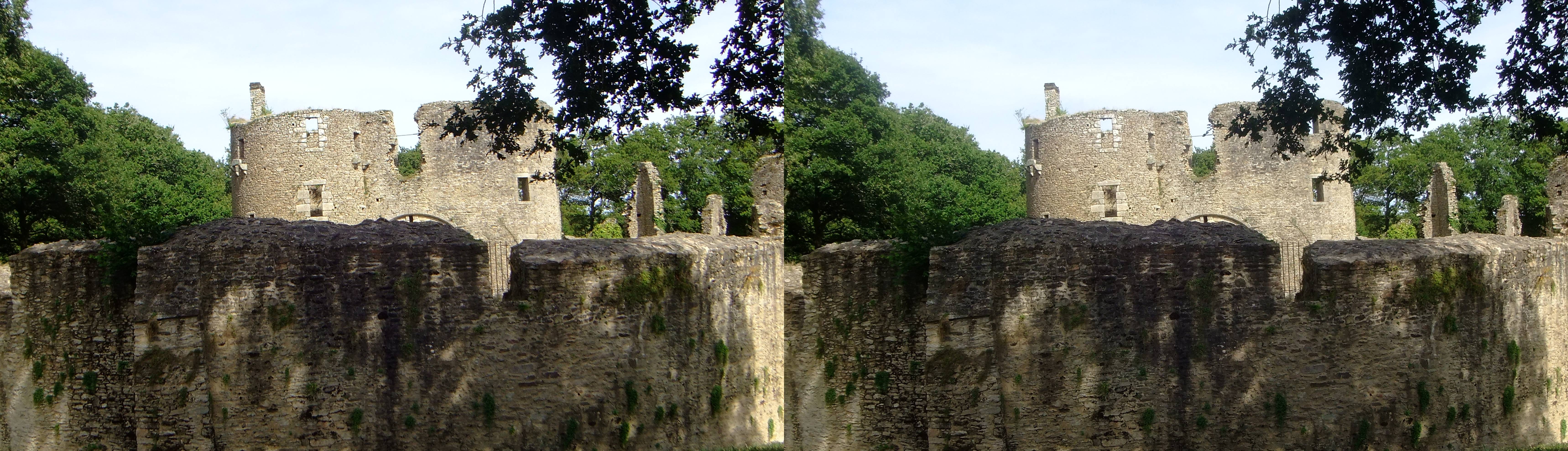 Château de Ranrouët