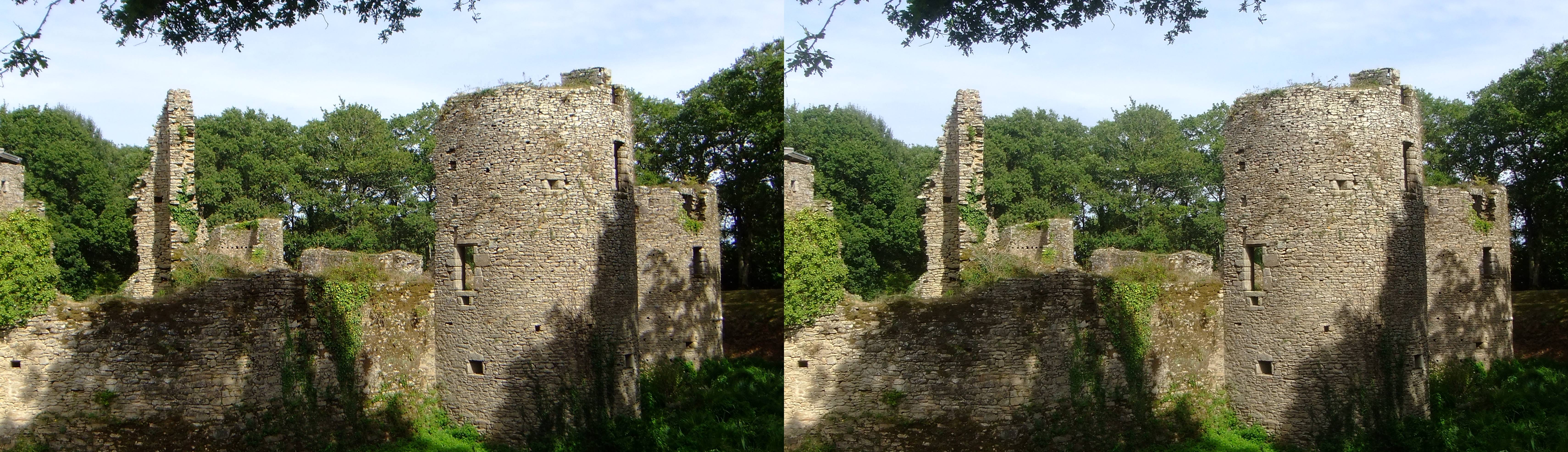 Château de Ranrouët