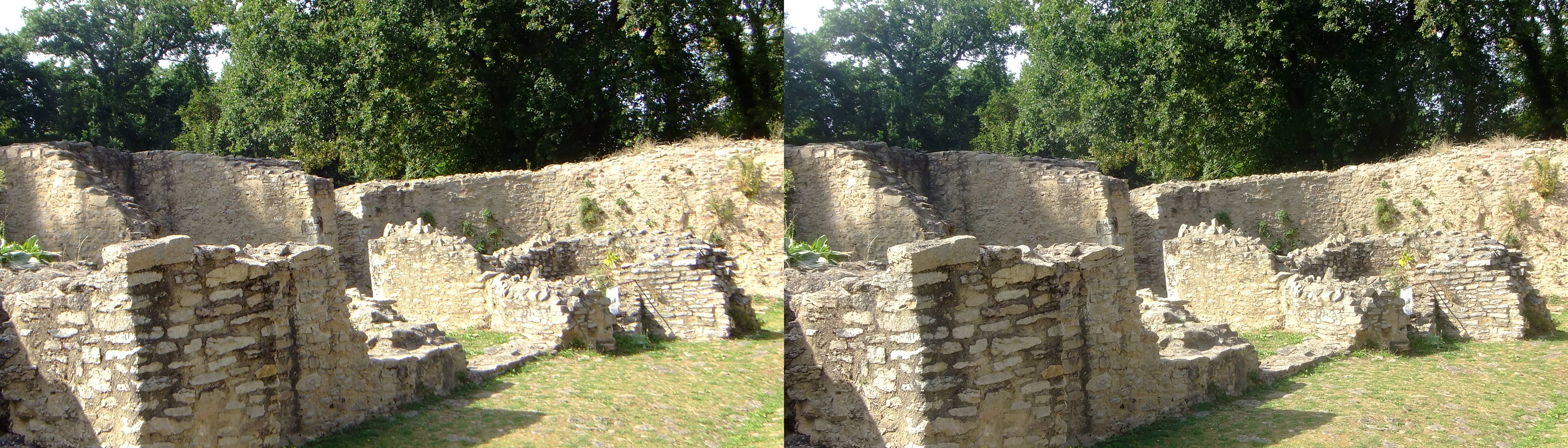 Château de Ranrouët